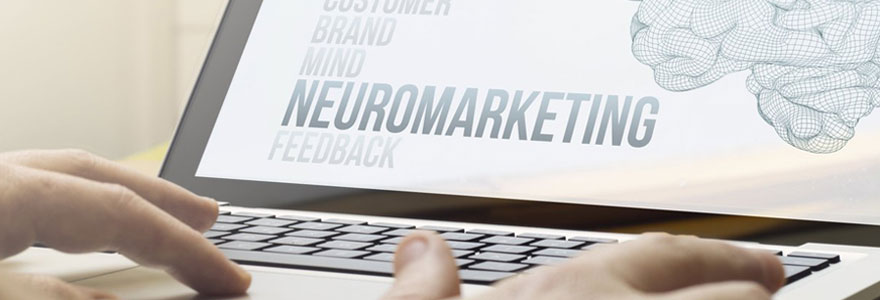 Trouver des experts en UX design et neuromarketing digital