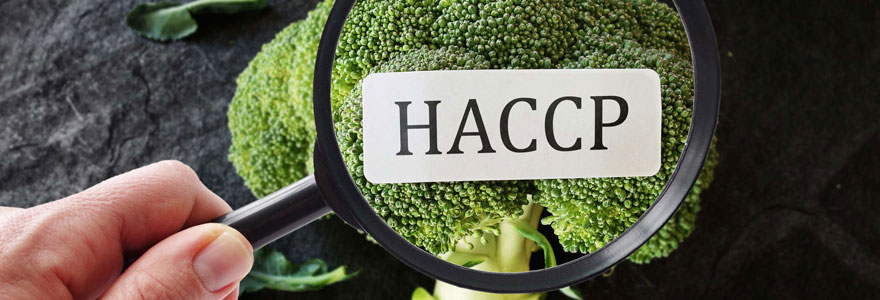 formation HACCP